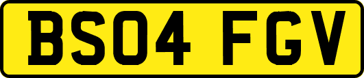 BS04FGV