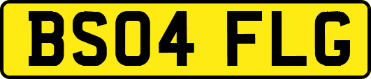 BS04FLG