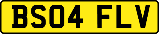 BS04FLV