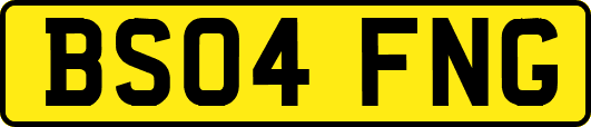 BS04FNG