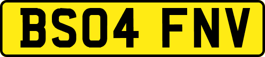 BS04FNV