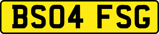 BS04FSG