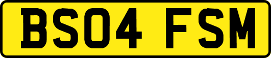 BS04FSM