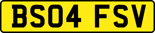 BS04FSV