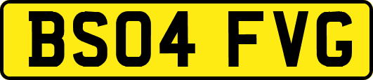 BS04FVG