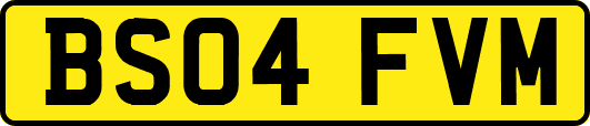 BS04FVM