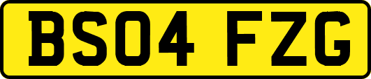 BS04FZG