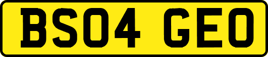 BS04GEO