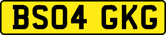 BS04GKG
