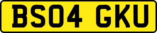 BS04GKU
