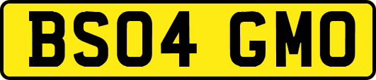 BS04GMO