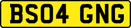 BS04GNG