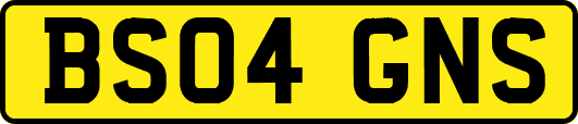 BS04GNS