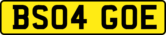 BS04GOE