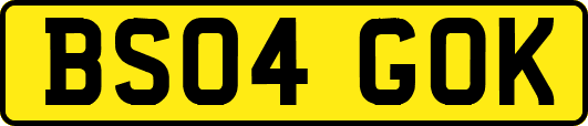 BS04GOK