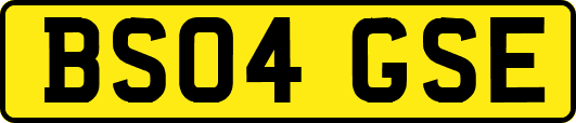 BS04GSE