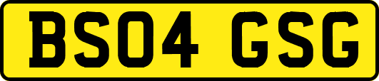 BS04GSG