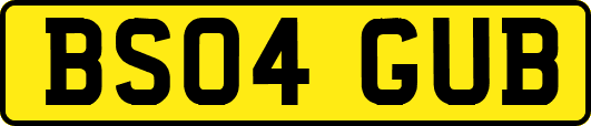 BS04GUB