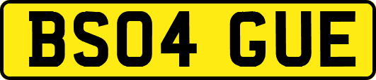 BS04GUE
