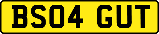 BS04GUT