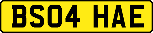 BS04HAE