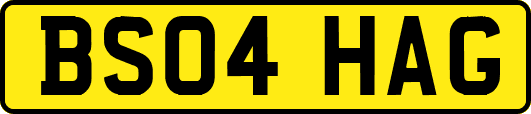 BS04HAG