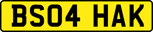 BS04HAK