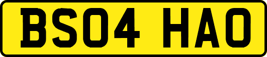 BS04HAO