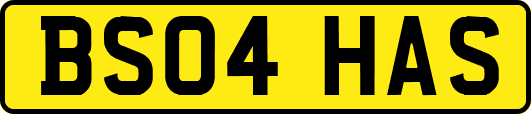 BS04HAS