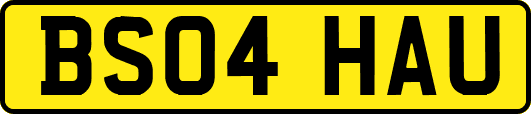 BS04HAU