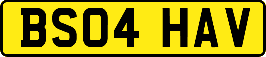 BS04HAV