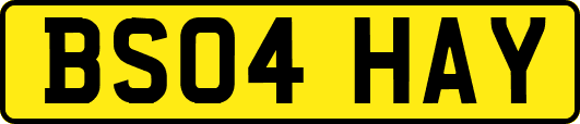 BS04HAY