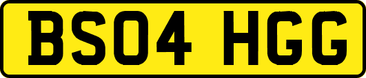 BS04HGG