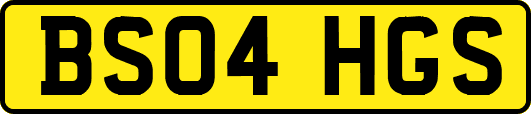 BS04HGS
