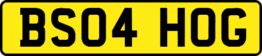 BS04HOG