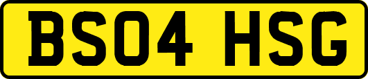 BS04HSG