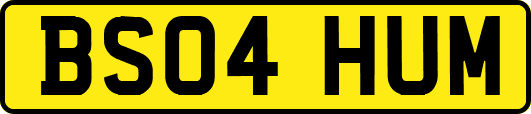 BS04HUM