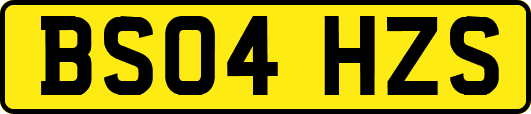 BS04HZS