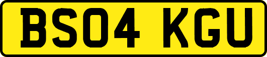 BS04KGU
