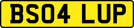 BS04LUP