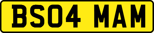 BS04MAM