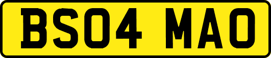 BS04MAO