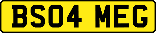 BS04MEG