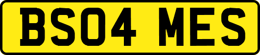 BS04MES