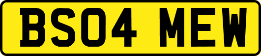BS04MEW