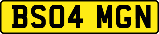 BS04MGN