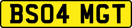BS04MGT