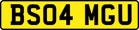 BS04MGU