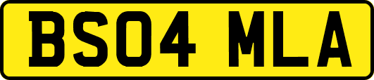 BS04MLA