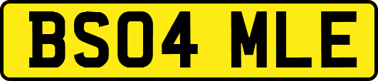 BS04MLE